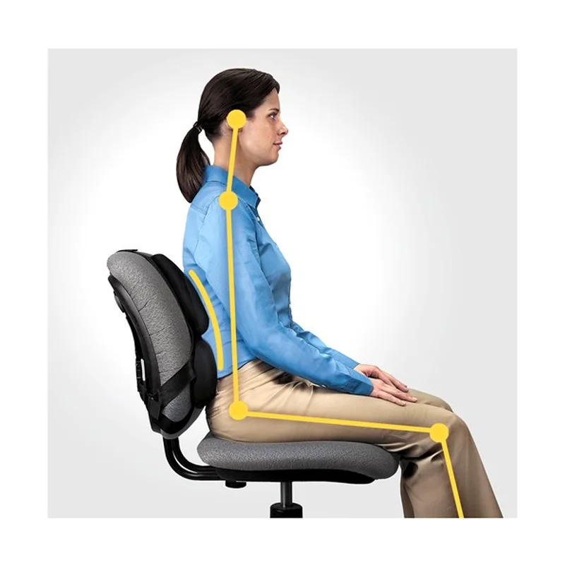 Fellowes Ergonomics professional back support pillow