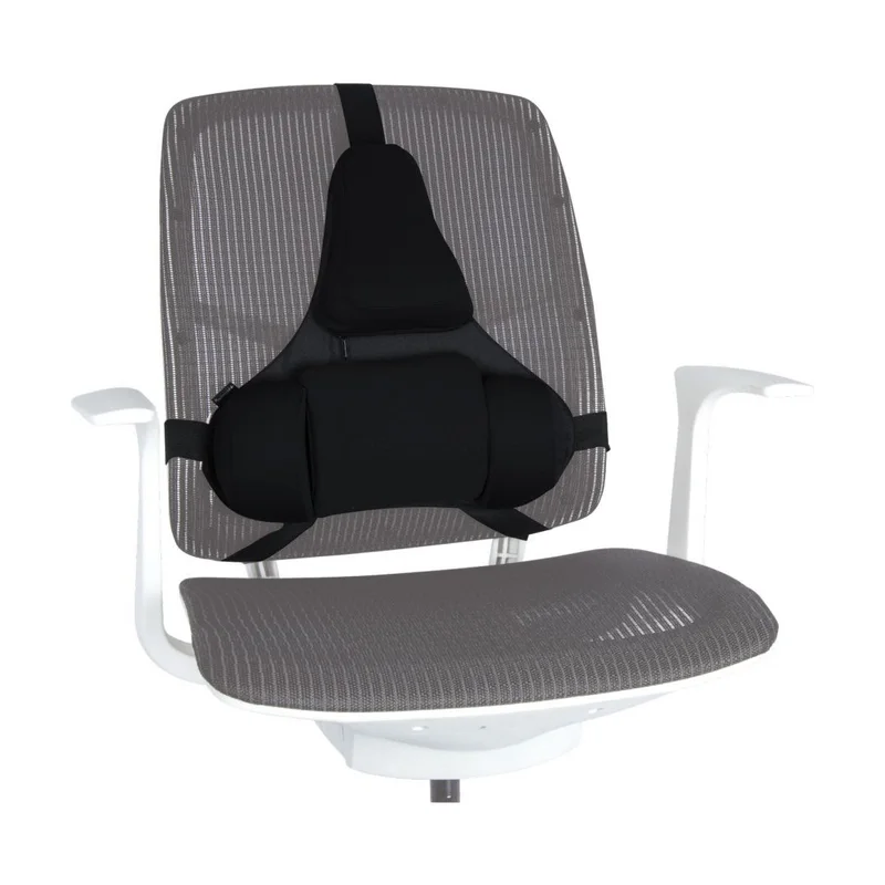 Fellowes Ergonomics professional back support pillow