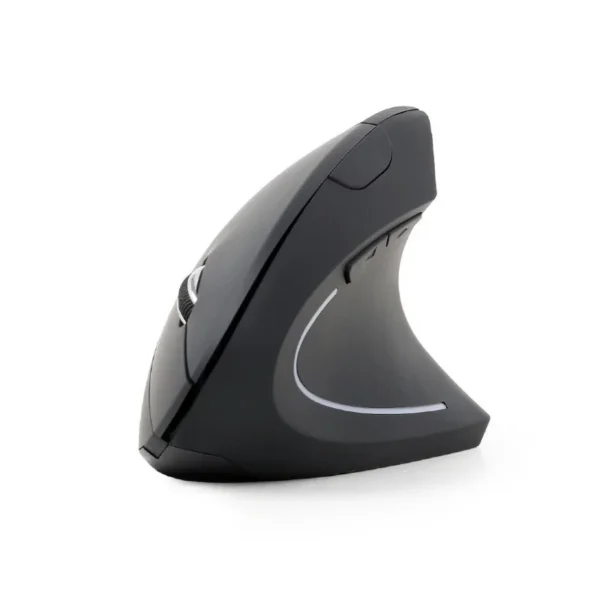 Gembird MUSW-ERGO-01 mouse Right-hand RF Wireless Optical 1600 DPI