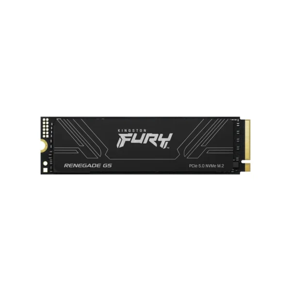 Kingston Technology 2T FURY RENEGADE G5 M.2 2280 NVMe SSD
