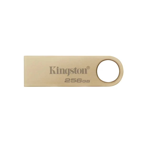 Kingston Technology DataTraveler 256GB 220MB/s Metal USB 3.2 Gen 1 SE9 G3