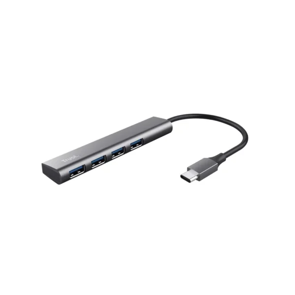 Trust Halyx USB 3.2 Gen 1 (3.1 Gen 1) Type-A 5 Mbit/s Grey