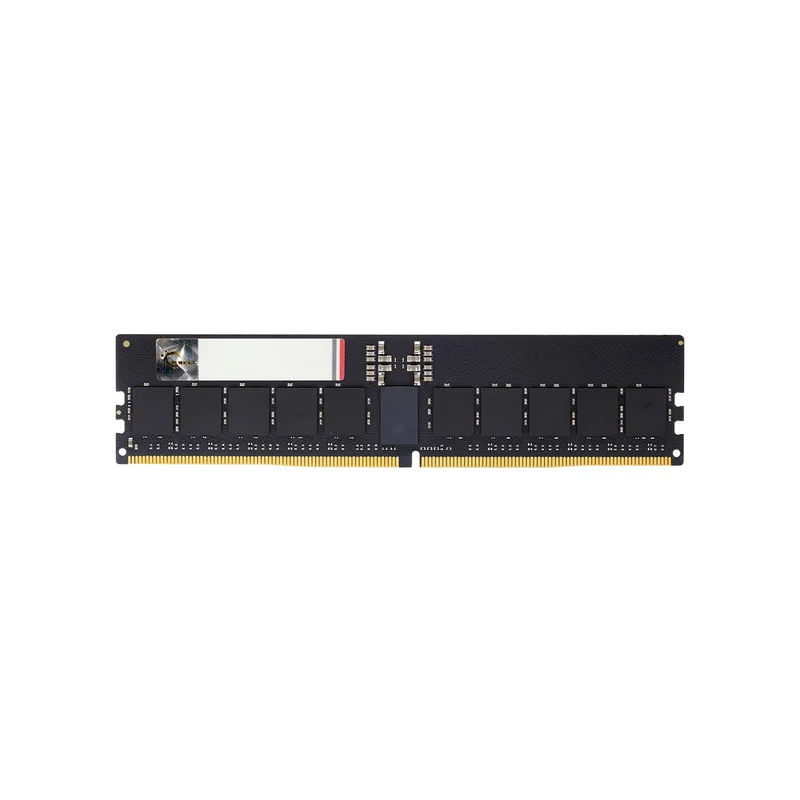 G.Skill Aegis 5 F5-6400R3239G48GE8-G5N memory module 384 GB 8 x 48 GB DDR5 6400 MT/s 288-pin DIMM ECC
